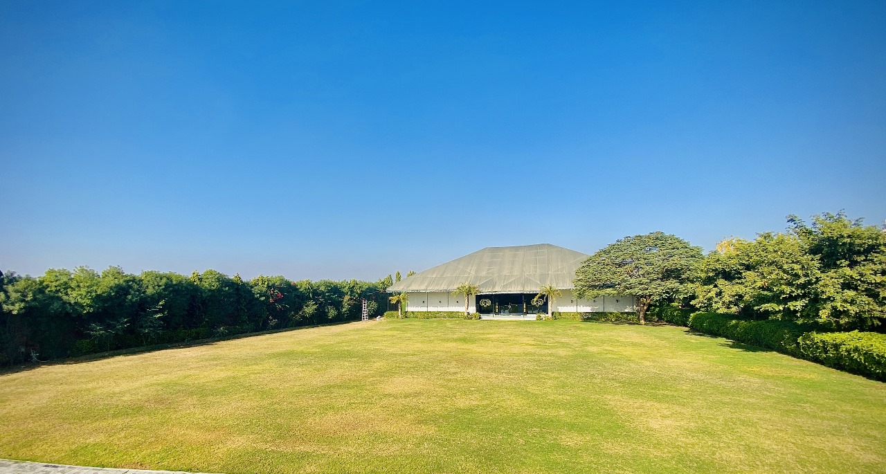 Zen Lawn